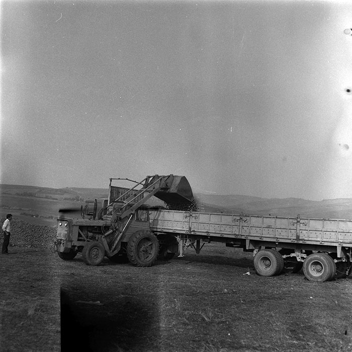 minerva_1987-1991_c2_c5r7_013