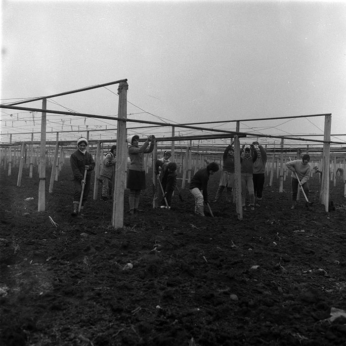 minerva_1987-1991_c2_c5r7_017