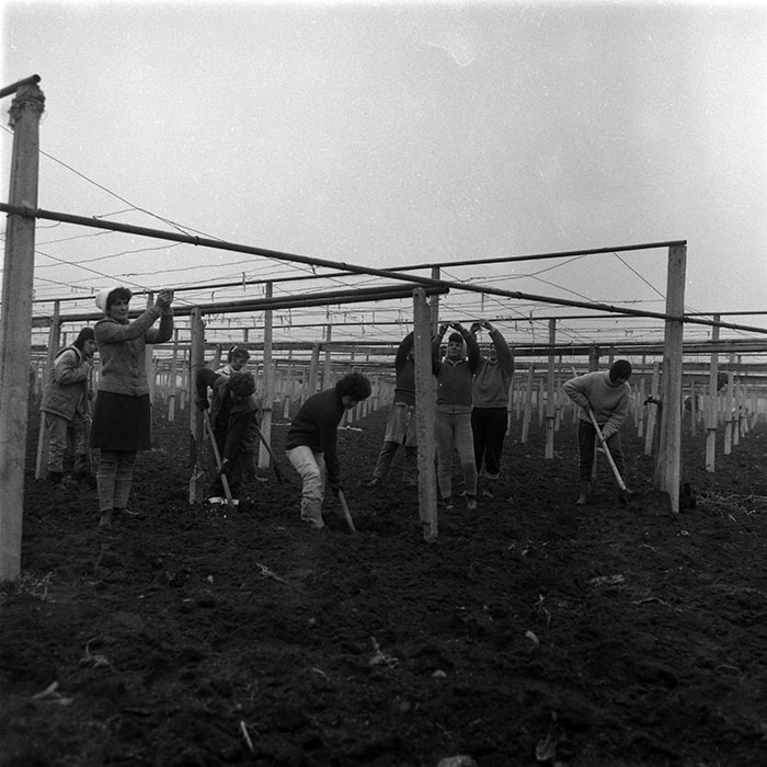 minerva_1987-1991_c2_c5r7_018