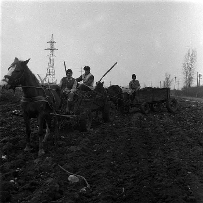 minerva_1987-1991_c2_c5r7_019