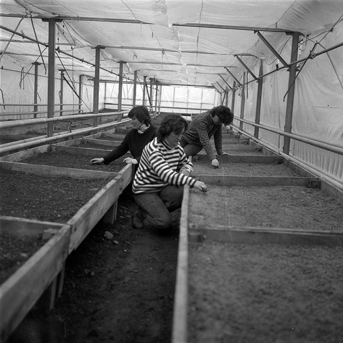 minerva_1987-1991_c2_c5r7_020