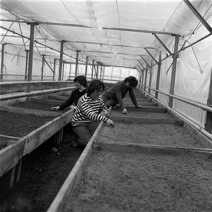 minerva_1987-1991_c2_c5r7_021