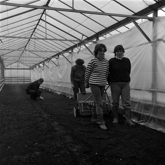 minerva_1987-1991_c2_c5r7_022