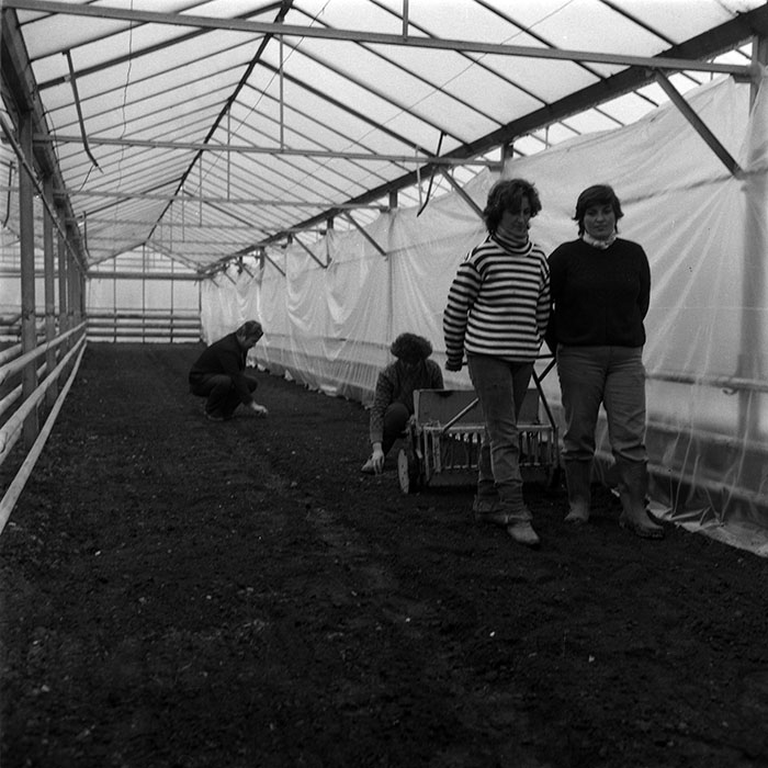 minerva_1987-1991_c2_c5r7_023