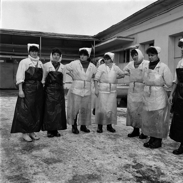 minerva_1987-1991_c2_c5r8_008