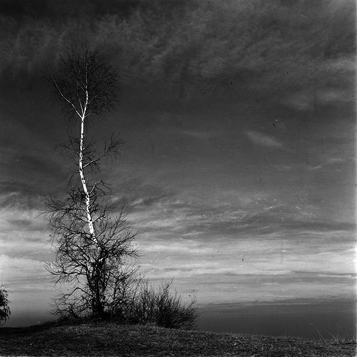 minerva_1987-1991_c2_c6r10_009