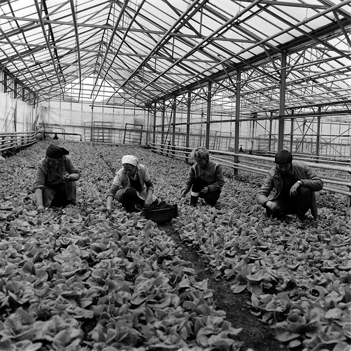 minerva_1987-1991_c2_c6r10_020