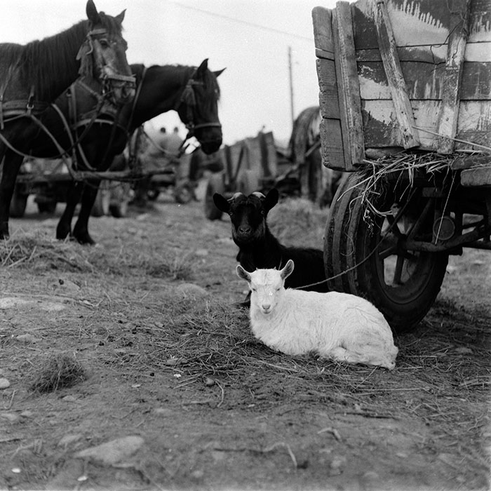 minerva_1987-1991_c2_c6r11_005