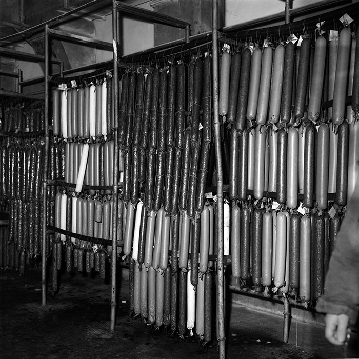 minerva_1987-1991_c2_c6r5_009