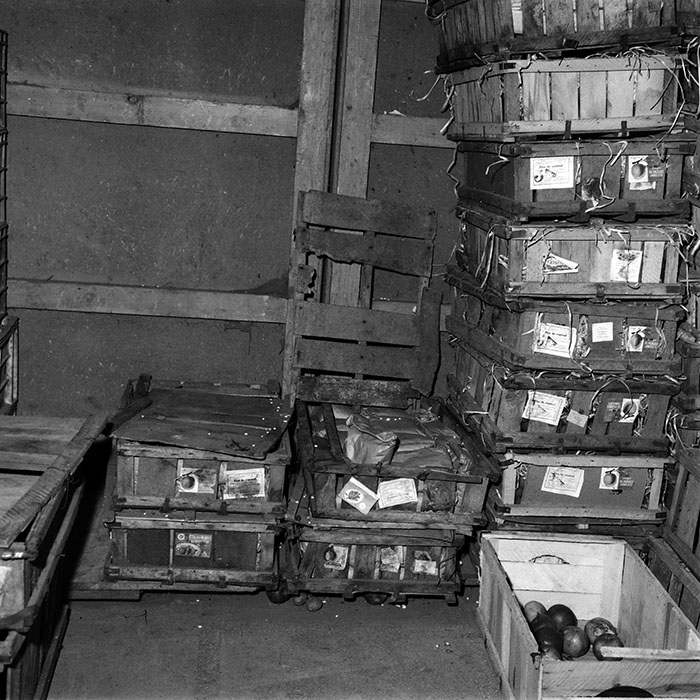 minerva_1987-1991_c2_c6r7_009