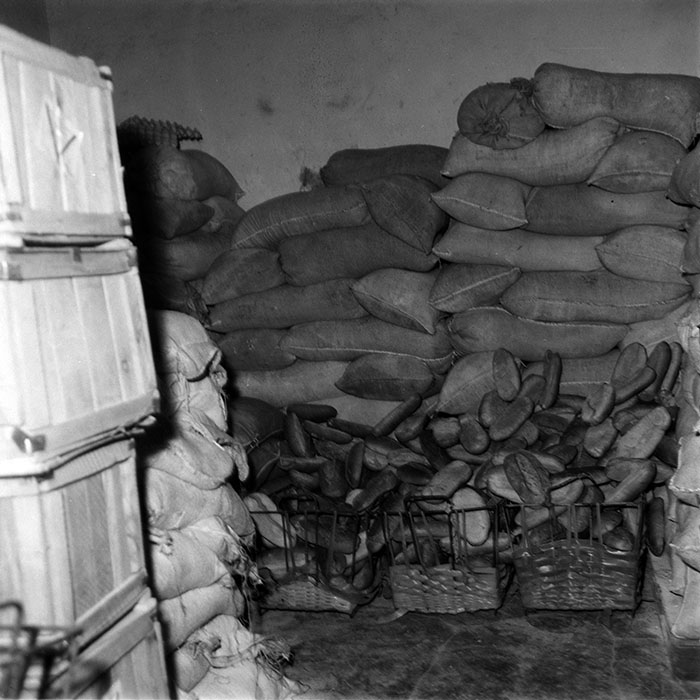 minerva_1987-1991_c2_c6r7_012