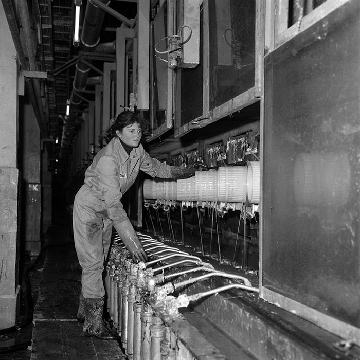 minerva_1987_Industrie_c2r3_007