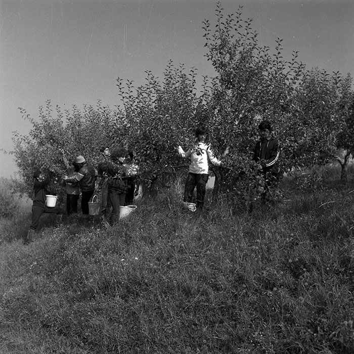 minerva_1987_Industrie_c2r4_022