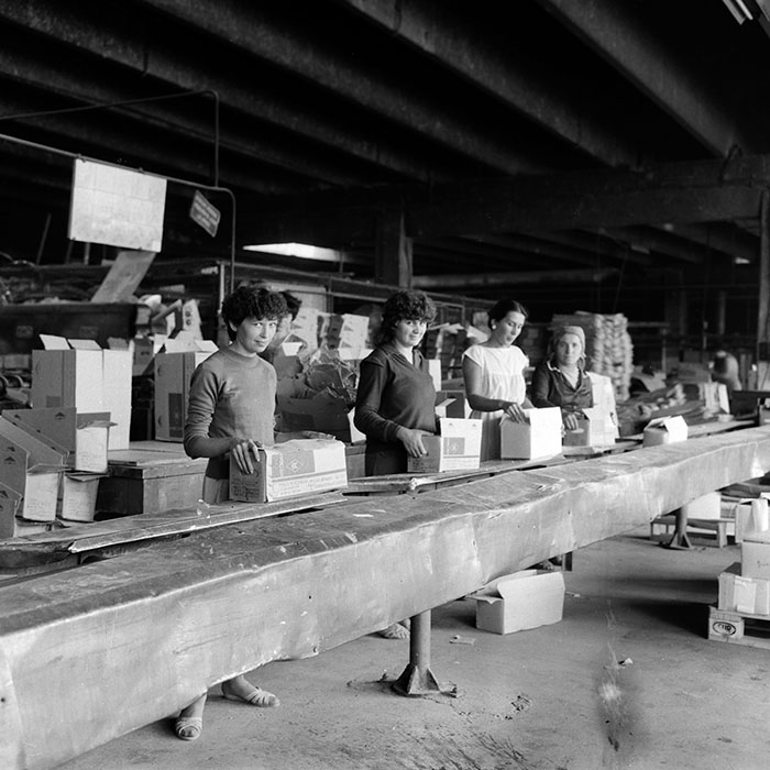 minerva_1987_Industrie_c3r3_007