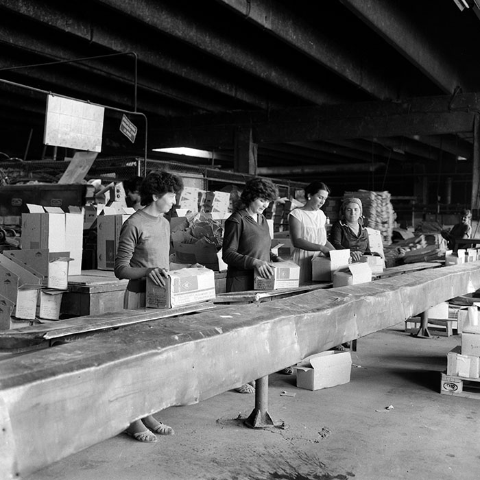 minerva_1987_Industrie_c3r3_008