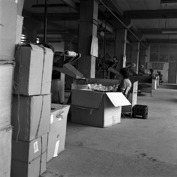 minerva_1987_Industrie_c4r4_008