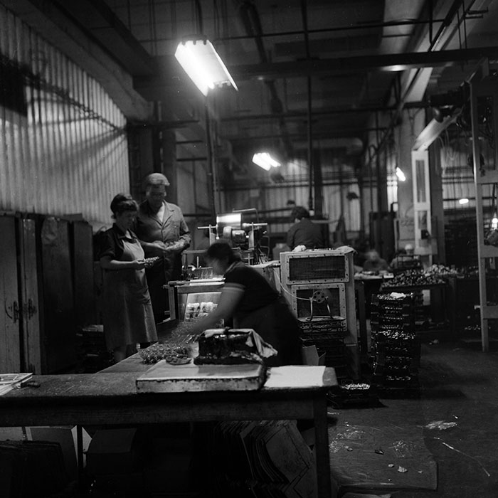 minerva_1987_Industrie_c5r3_002