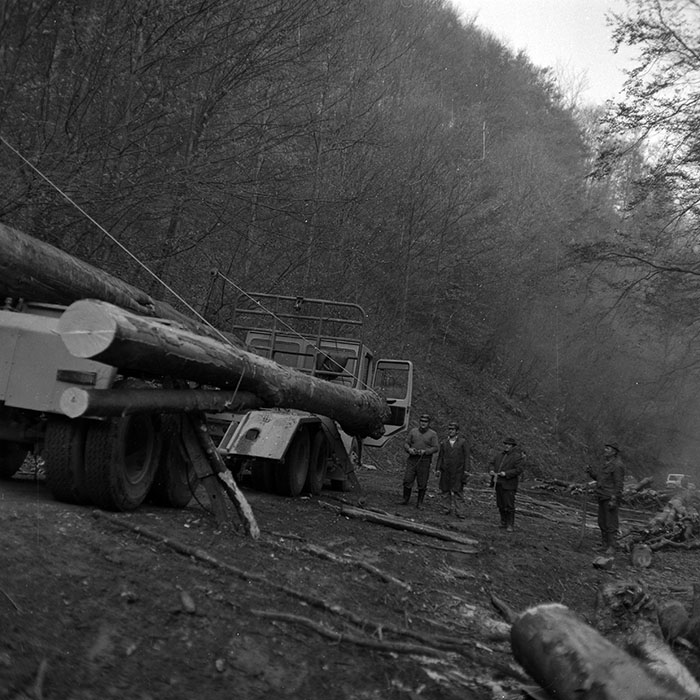 minerva_1987_Industrie_c6r5_008