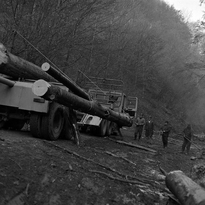 minerva_1987_Industrie_c6r5_009