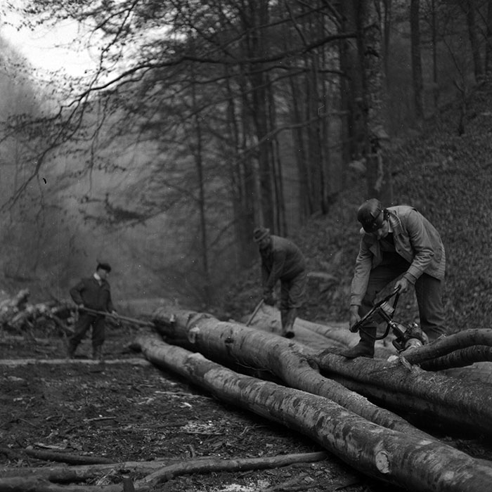 minerva_1987_Industrie_c6r5_014