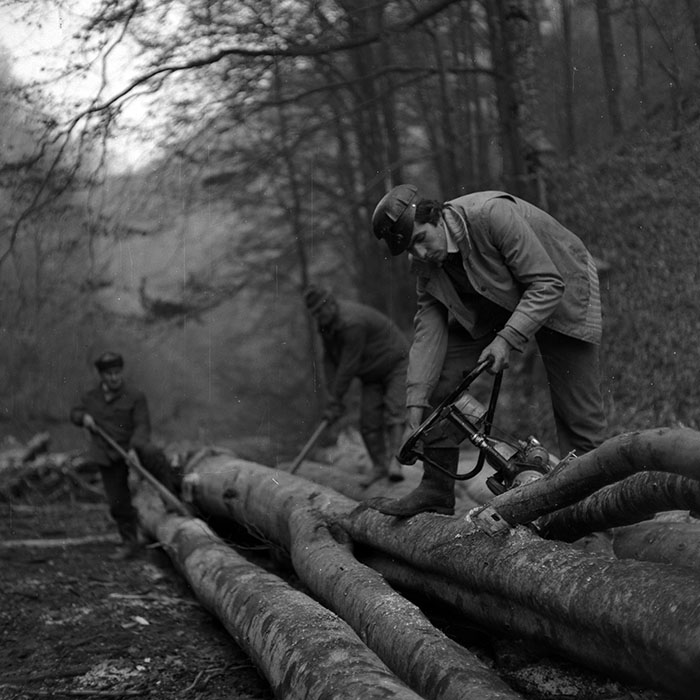 minerva_1987_Industrie_c6r5_015