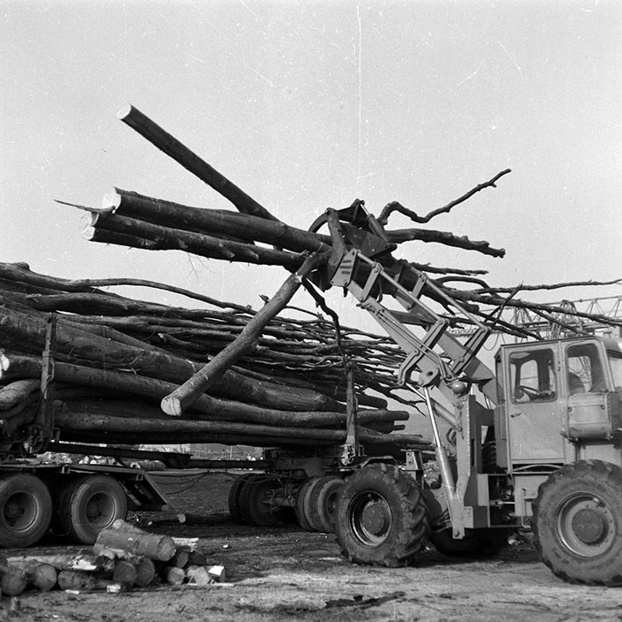 minerva_1987_Industrie_c6r5_031