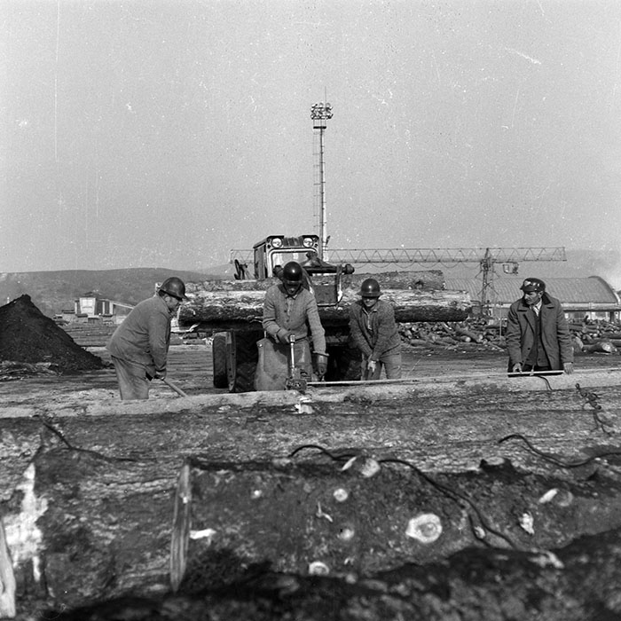 minerva_1987_Industrie_c6r5_034