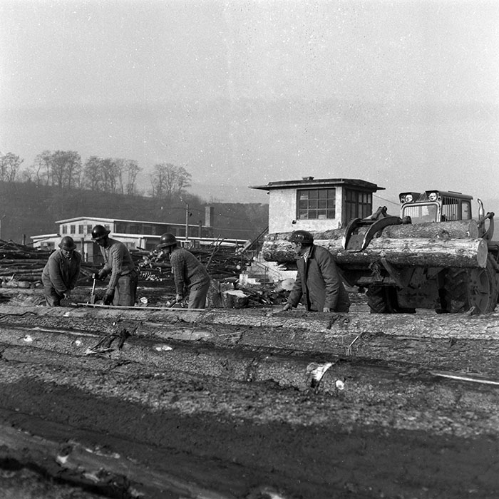 minerva_1987_Industrie_c6r5_035