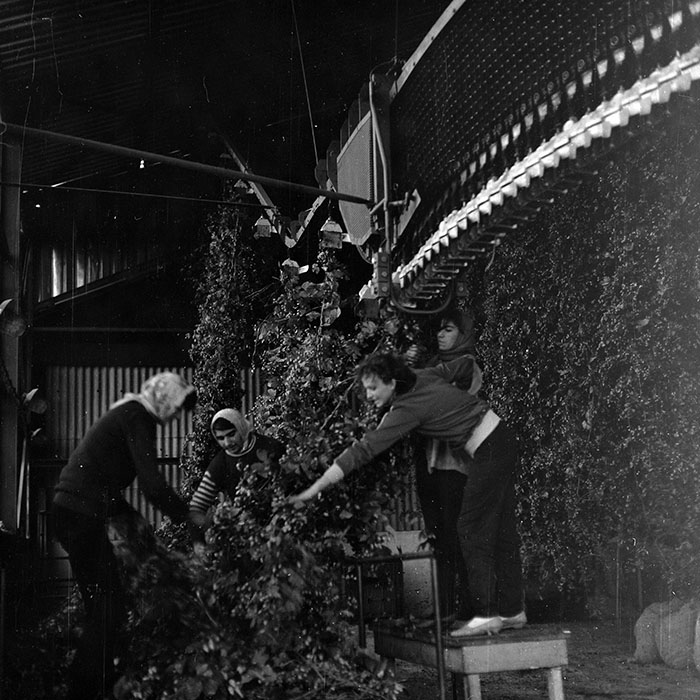 minerva_1987_Industrie_c8r3_001