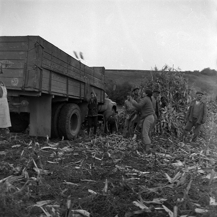 minerva_1987_Industrie_c8r3_011