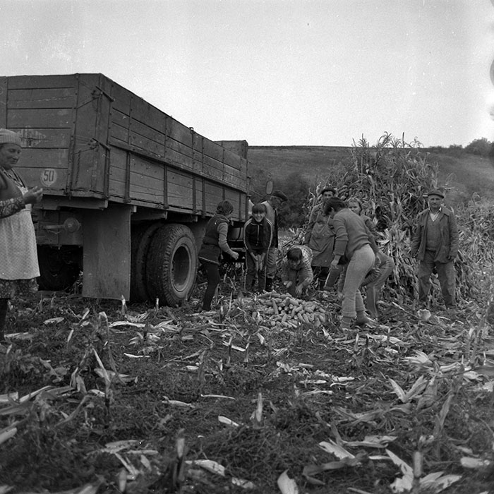 minerva_1987_Industrie_c8r3_012