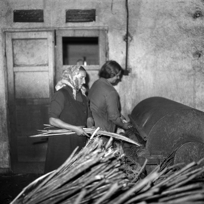 minerva_1987_Industrie_c8r5_013