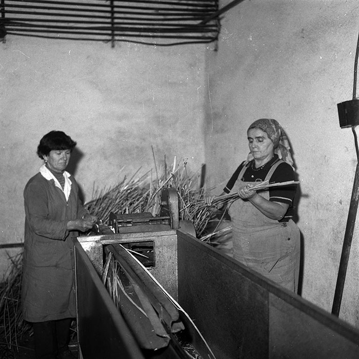 minerva_1987_Industrie_c8r5_016