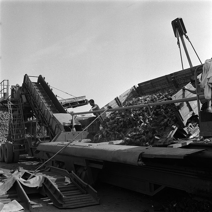 minerva_1987_c2_c10r2_003