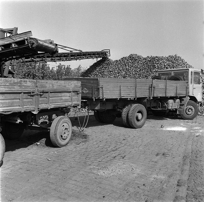 minerva_1987_c2_c10r2_004