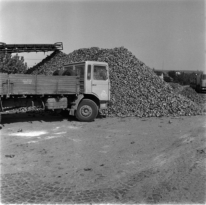 minerva_1987_c2_c10r2_005