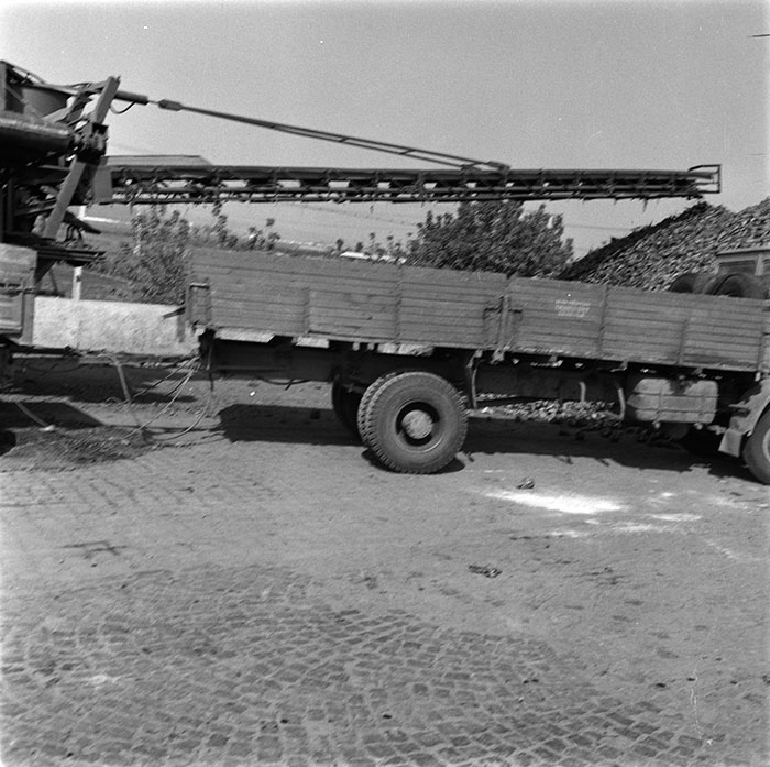 minerva_1987_c2_c10r2_006