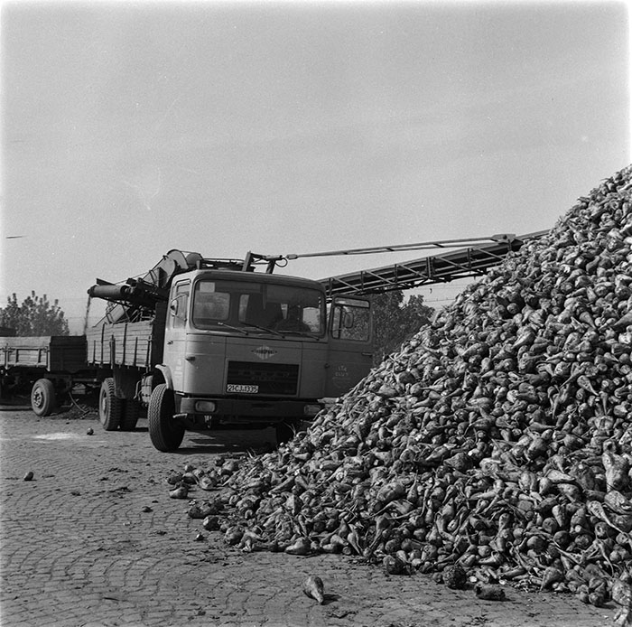 minerva_1987_c2_c10r2_007