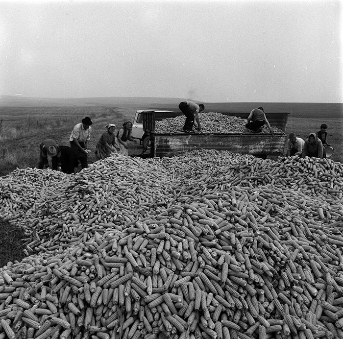 minerva_1987_c2_c10r2_009