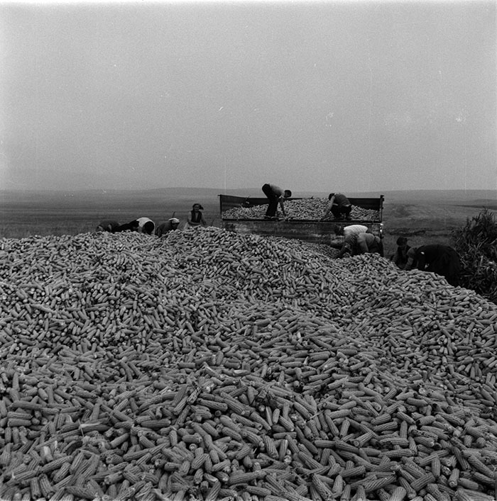 minerva_1987_c2_c10r2_010