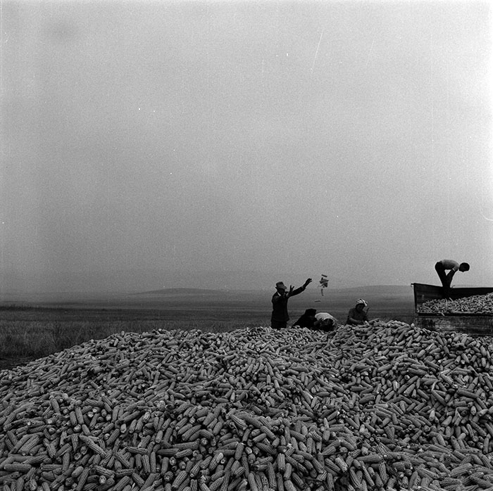 minerva_1987_c2_c10r2_015