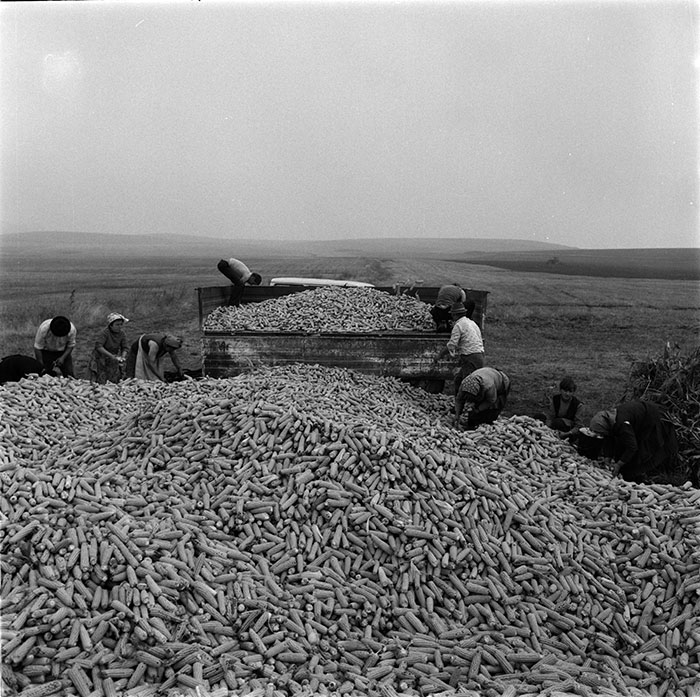 minerva_1987_c2_c10r2_016