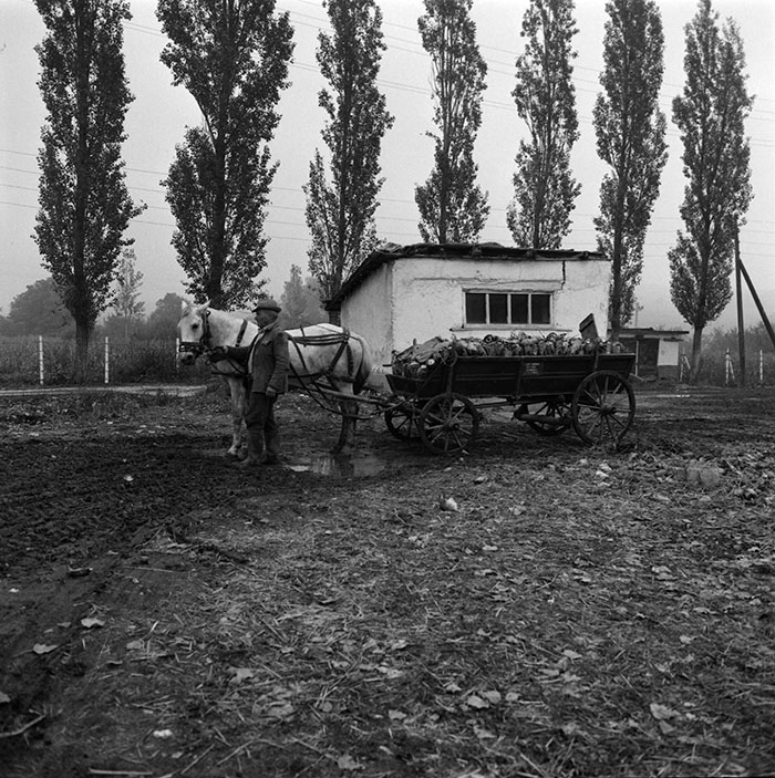 minerva_1987_c2_c10r2_018