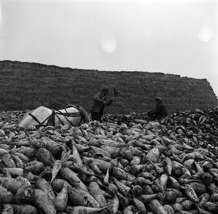 minerva_1987_c2_c10r2_019