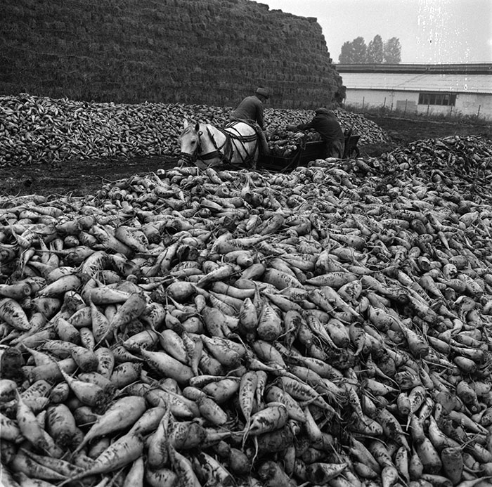 minerva_1987_c2_c10r2_021