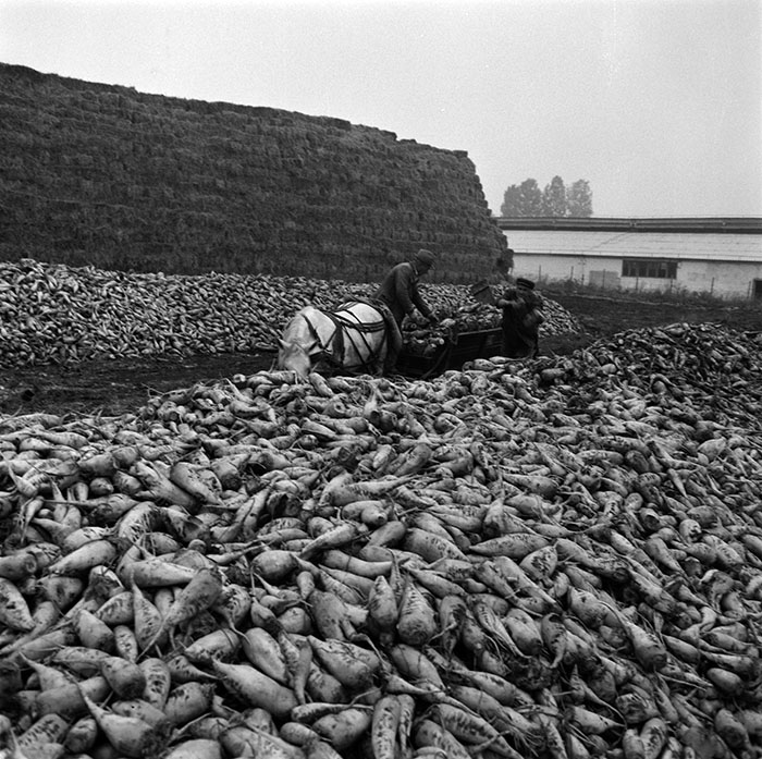 minerva_1987_c2_c10r2_022