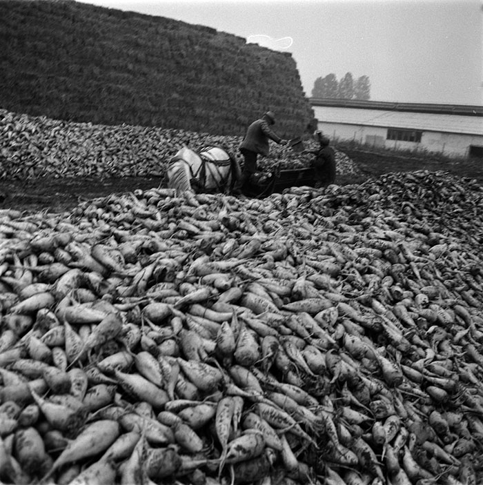 minerva_1987_c2_c10r2_024