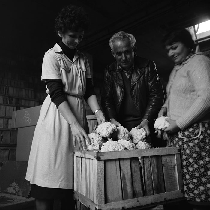 minerva_1987_c2_c10r2_026