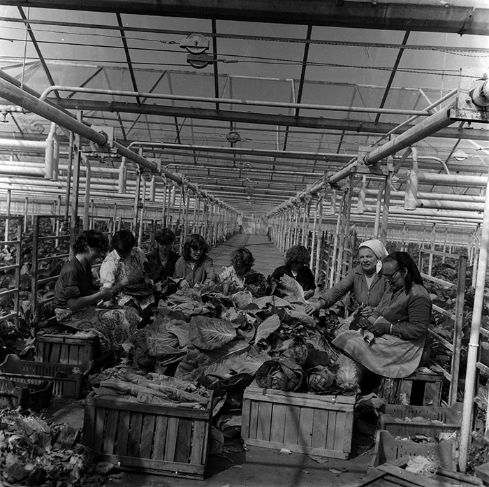 minerva_1987_c2_c10r3_013