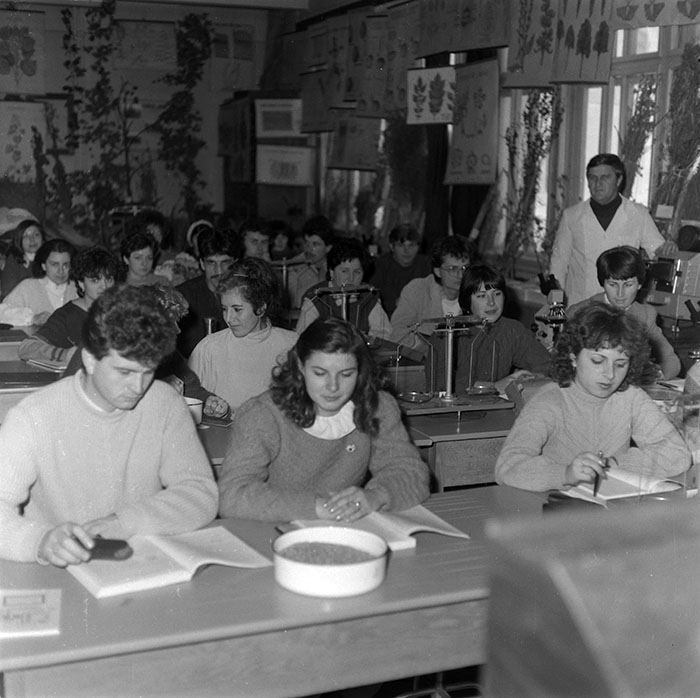 minerva_1987_c2_c10r4_001